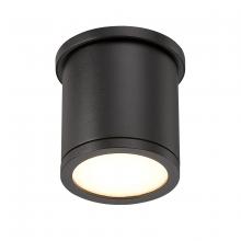 WAC US FM-W2605-BK - TUBE Outdoor Flush Mount Light